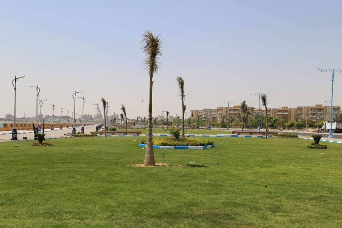 مشروع ممشى النخيل بالسويس