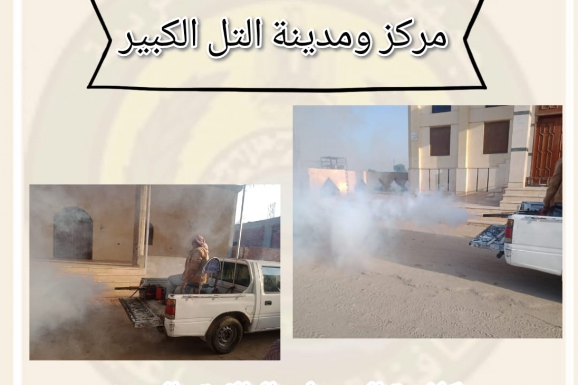 التل الكبير تقوم بحملة موسعة ضد الحشرات