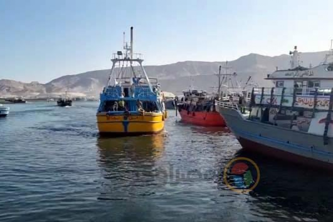 استئناف موسم الصيد .. استقبال العام الدراسي الجديد .. محافظة السويس